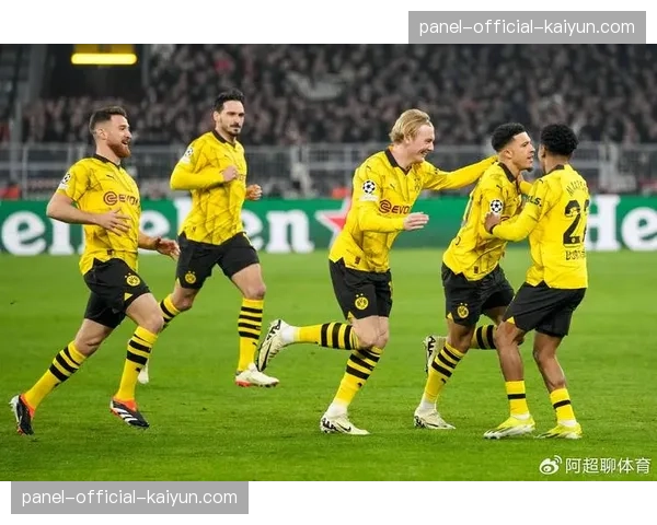 霍芬海姆2-1多特蒙德，瑞尔森手球送点VAR介入判罚点球